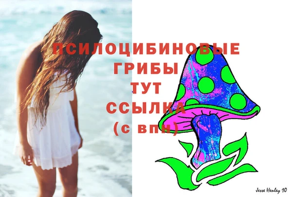 соль ск Абдулино